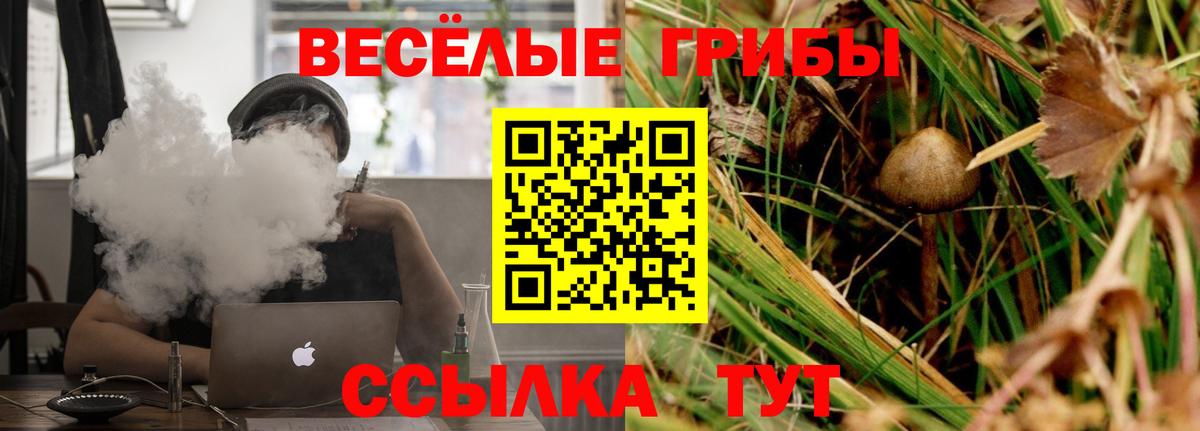 Галлюциногенные грибы Magic Shrooms  Вход с VPN  Сальск 
